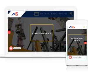 PT. Multi Indo Sejati (www.multiindosejati.co.id)
